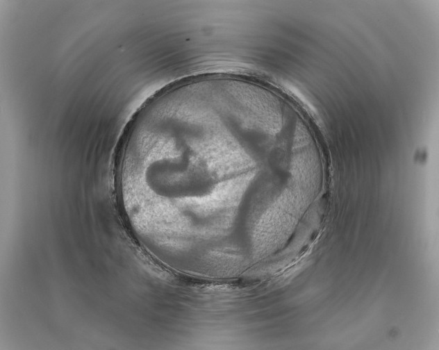 X0000091460883200709061754