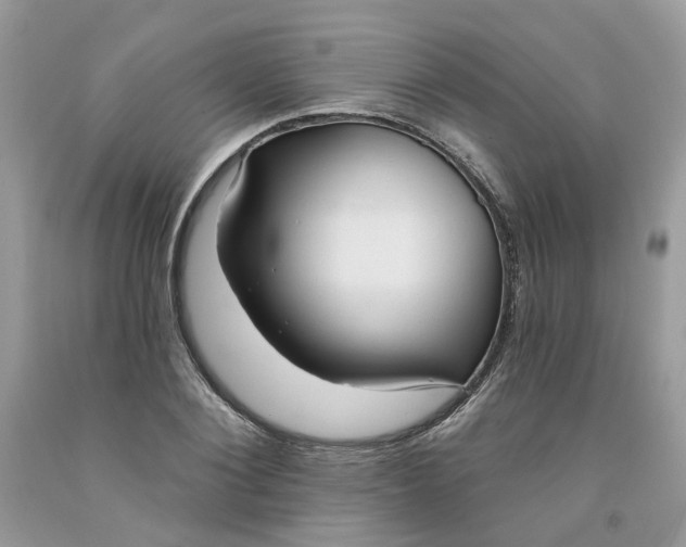 X0000091460884200709061754