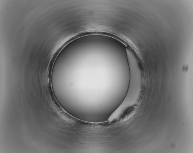 X0000091460885200709061754