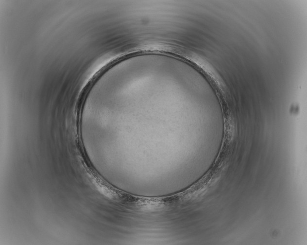 X0000091460886200709061754