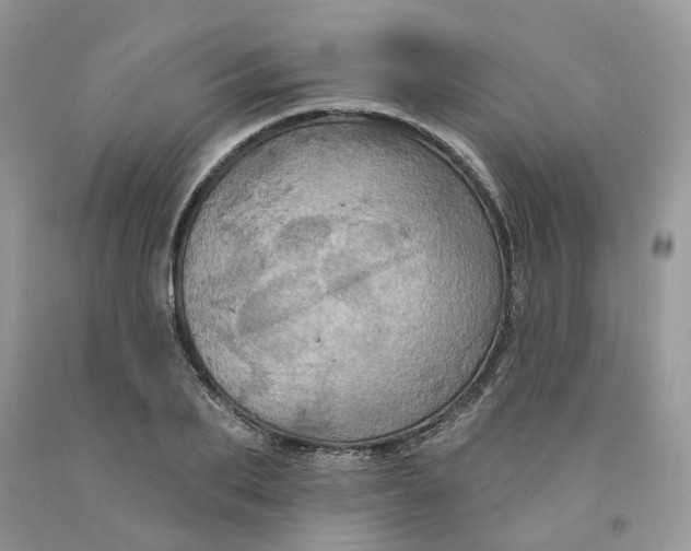 X0000091460887200709061754