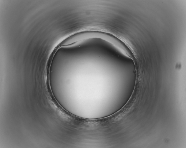 X0000091460888200709061754