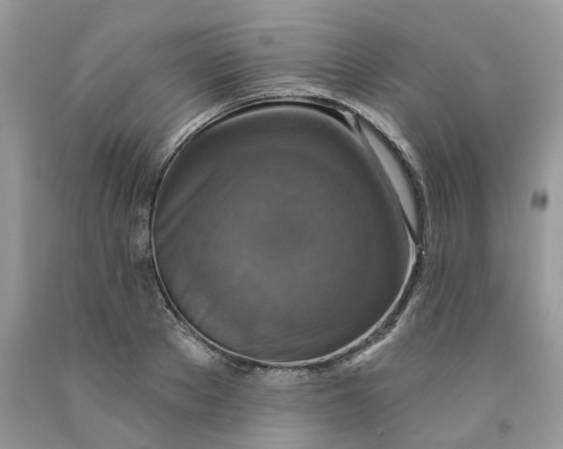 X0000091460889200709061754