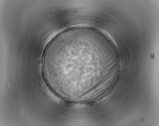 X0000091460890200709061754