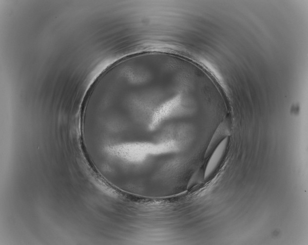 X0000091460891200709061754