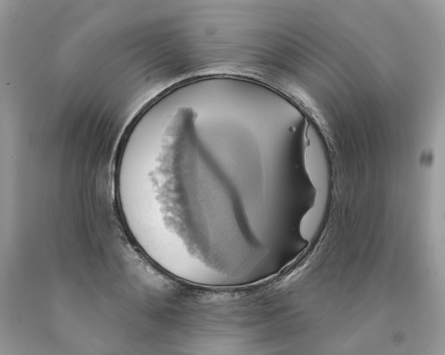 X0000091460892200709061754