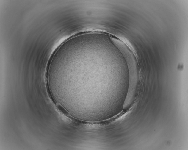 X0000091460893200709061754