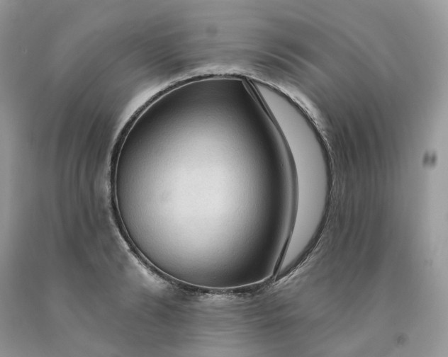 X0000091460894200709061754