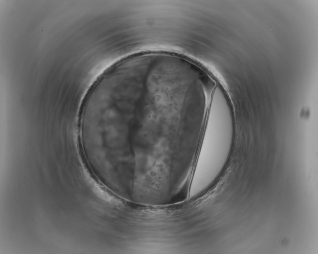 X0000091460895200709061754