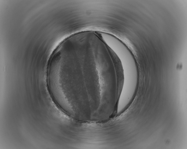 X0000091460896200709061754