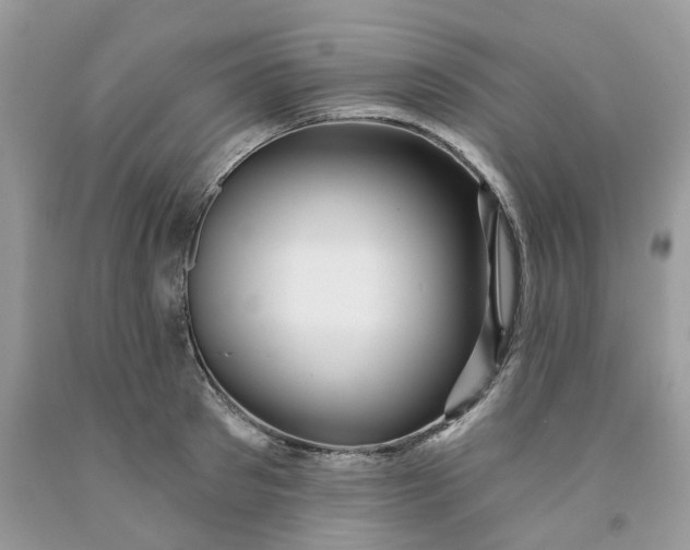 X0000091460897200709061754