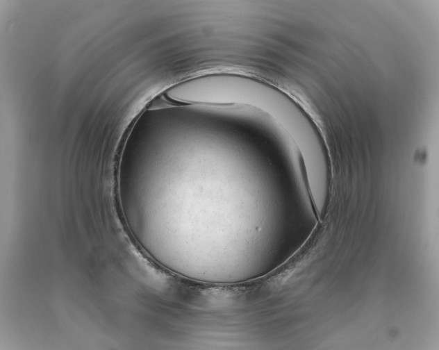 X0000091460898200709061754