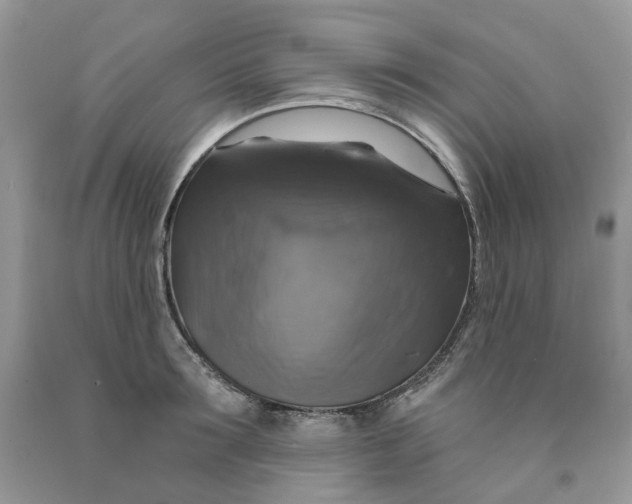 X0000091460899200709061754