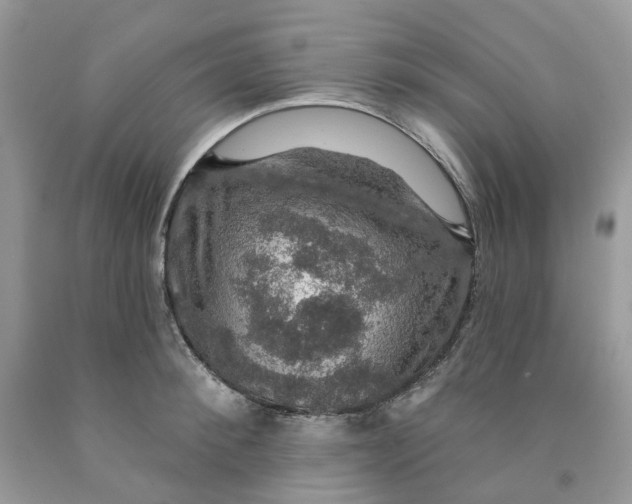 X0000091460900200709061754