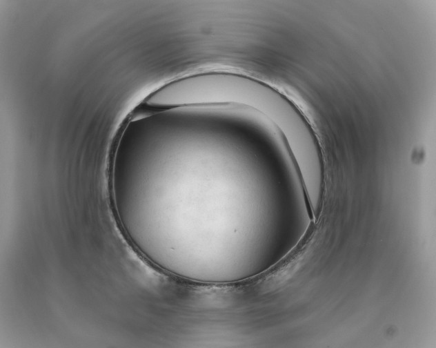 X0000091460902200709061754