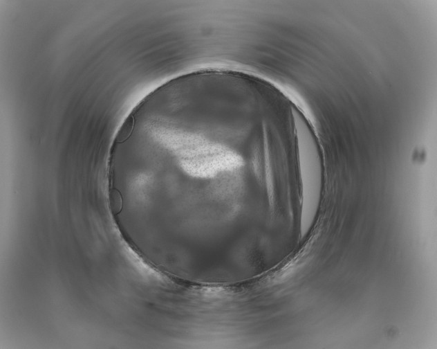 X0000091460903200709061754