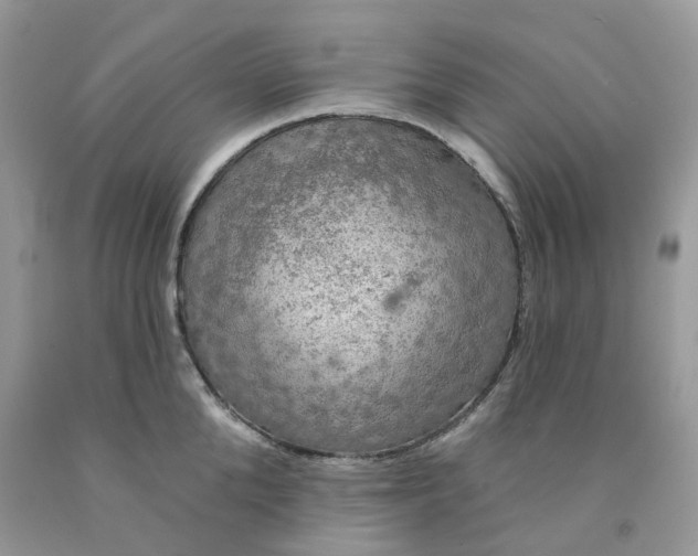 X0000091460904200709061754