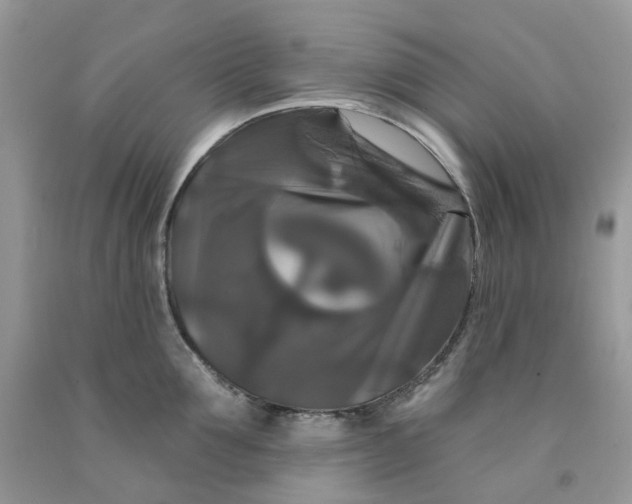 X0000091460907200709061754