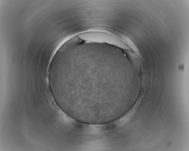 X0000091460908200709061754