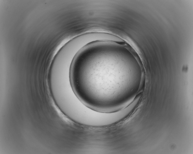 X0000091460909200709061754