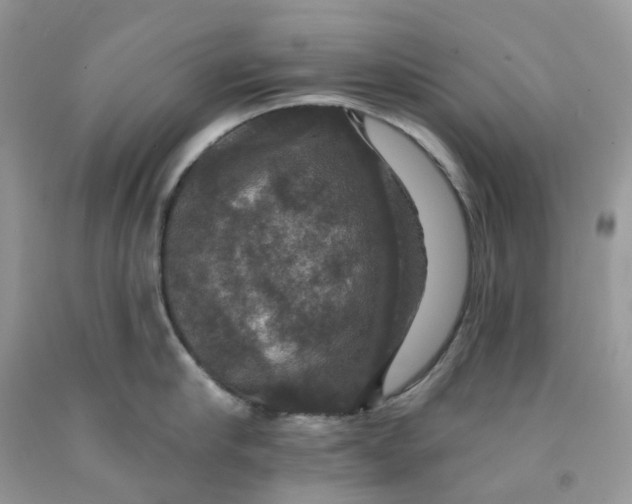 X0000091460910200709061754