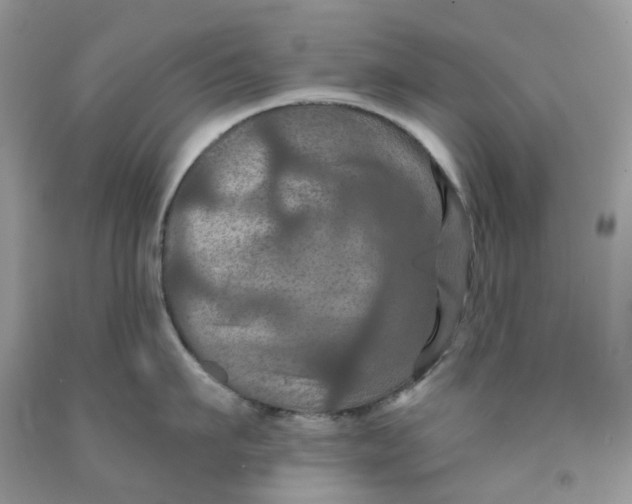 X0000091460911200709061754