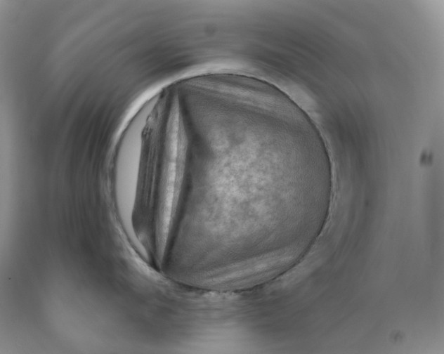 X0000091460912200709061754