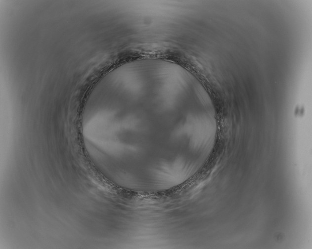 X0000091460913200709061753