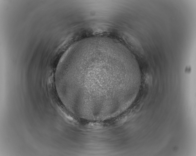 X0000091460914200709061753