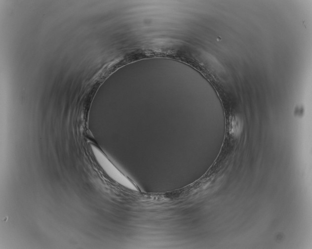 X0000091460915200709061753