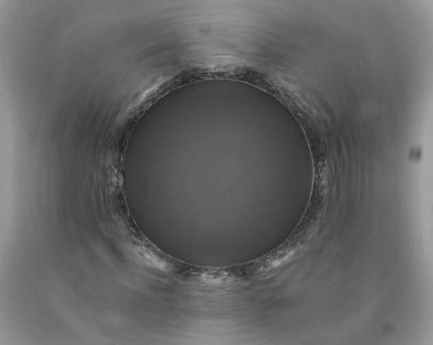 X0000091460916200709061753