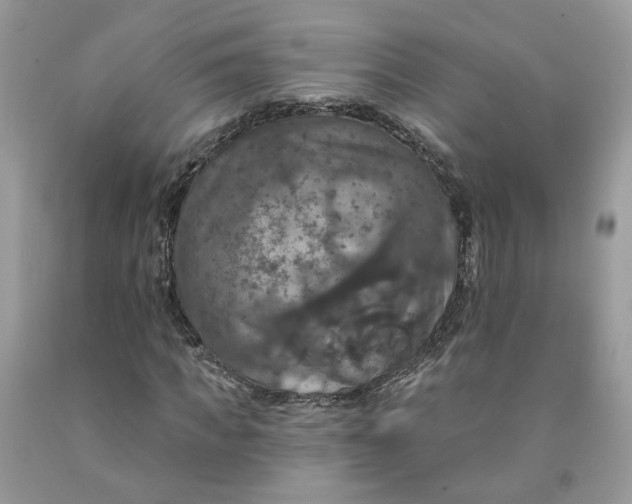 X0000091460917200709061753