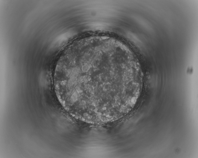 X0000091460918200709061753