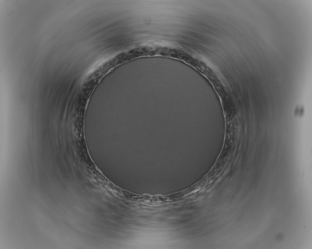 X0000091460919200709061753