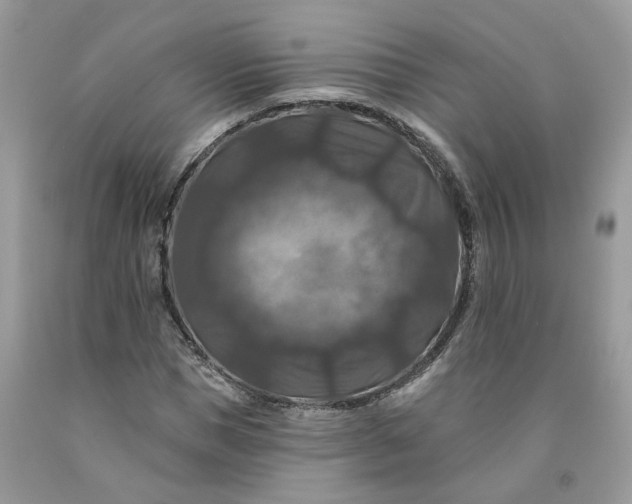 X0000091460921200709061753