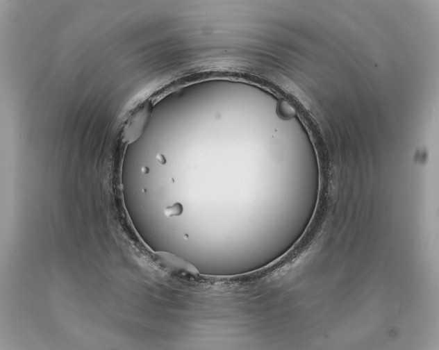 X0000091460922200709061753