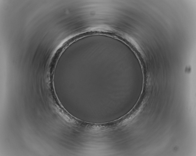 X0000091460923200709061753