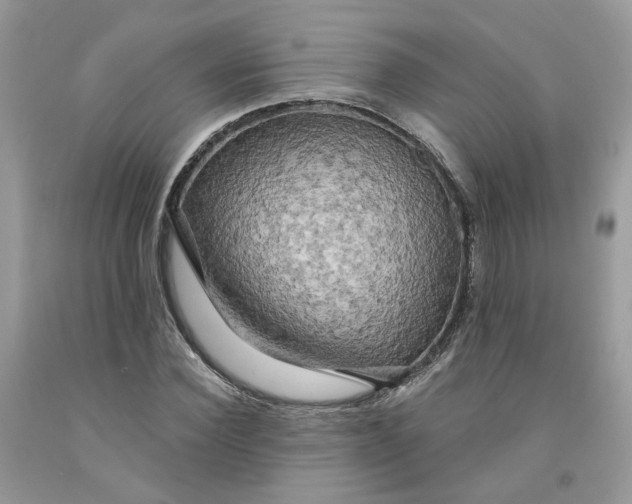 X0000091460924200709061753