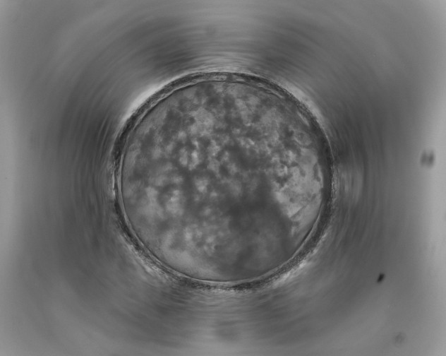 X0000091460925200709061753