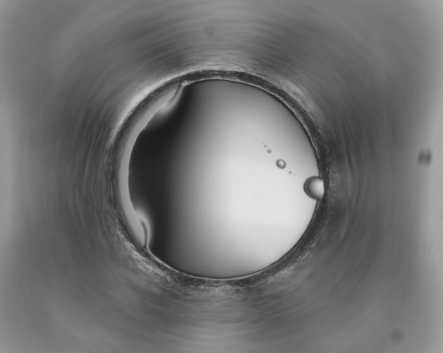 X0000091460926200709061753