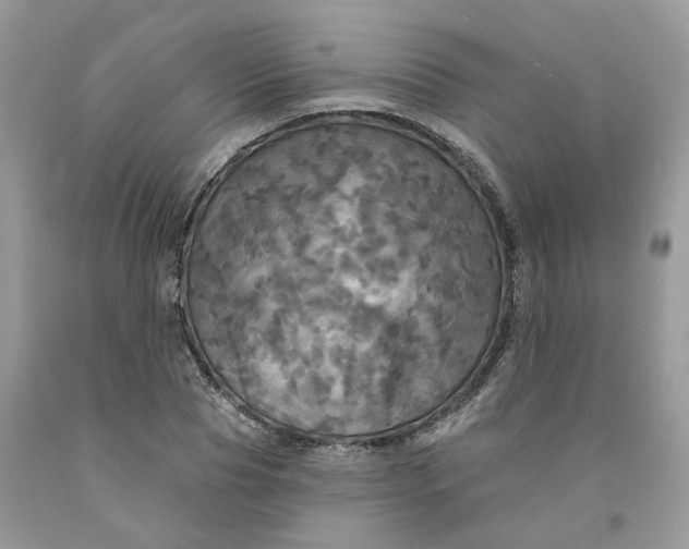 X0000091460929200709061753