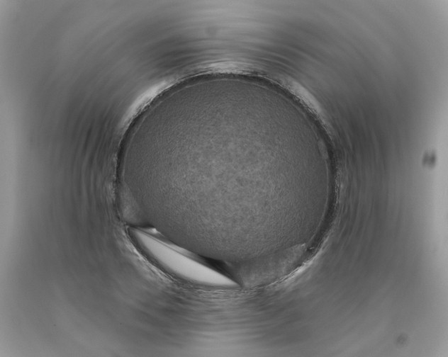 X0000091460930200709061753