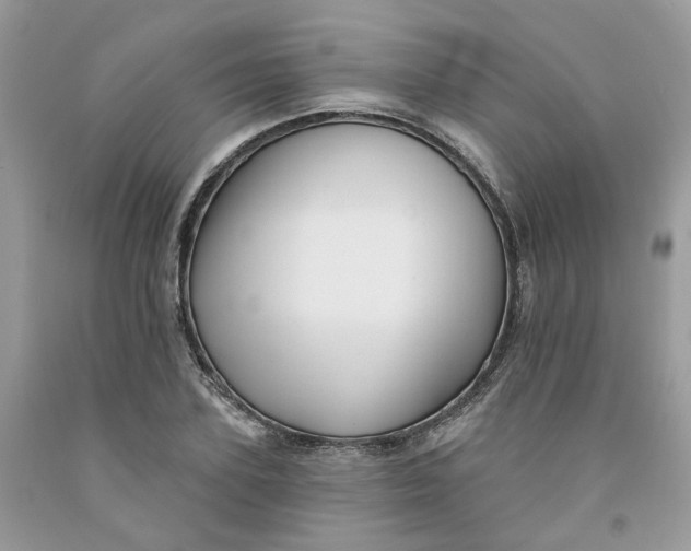 X0000091460931200709061753