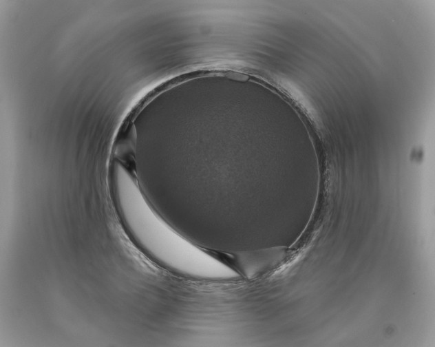 X0000091460932200709061753