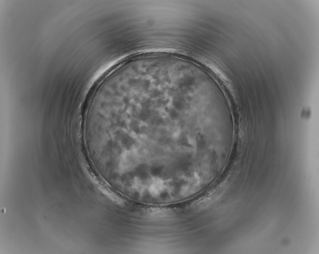 X0000091460933200709061753