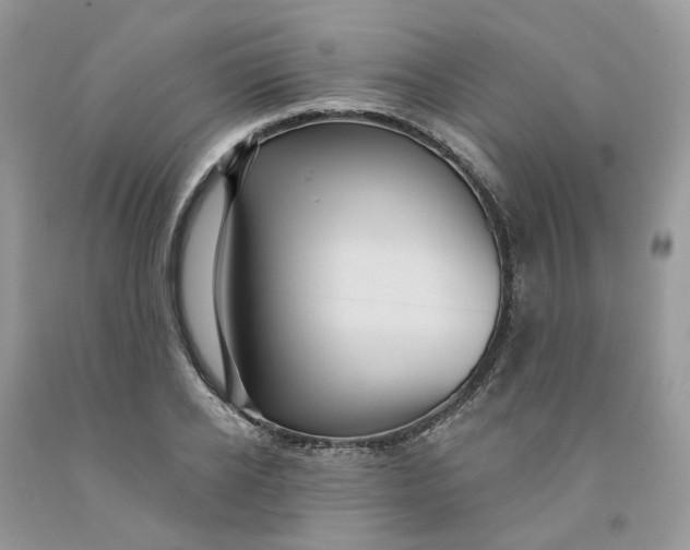 X0000091460934200709061753