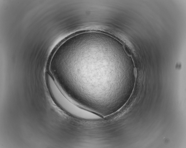 X0000091460936200709061754