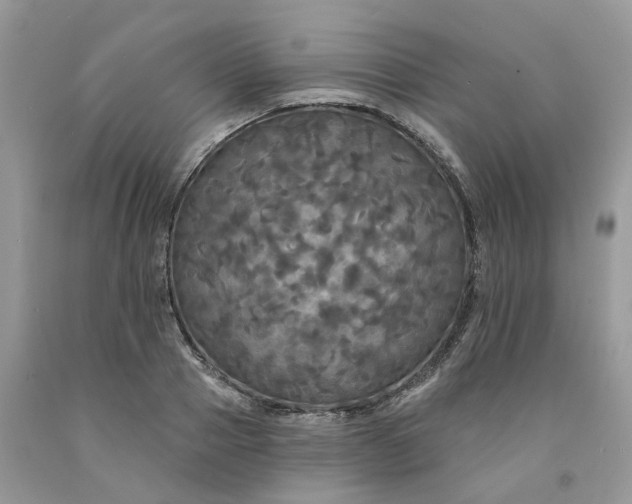 X0000091460937200709061754