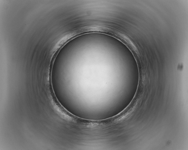 X0000091460938200709061754