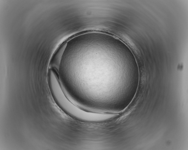 X0000091460940200709061754